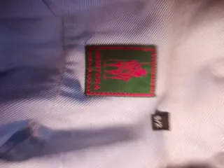 Camisa azul de rayas