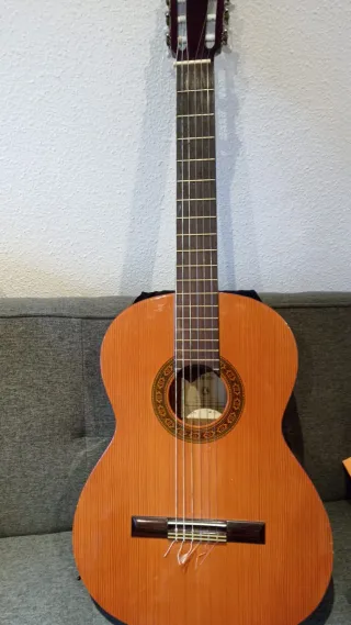 Guitarra Acústica Marrón Oscuro