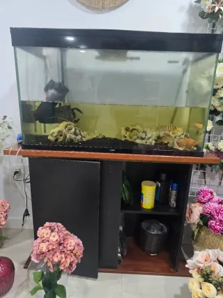 Acuario 250L con accesorios