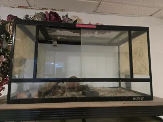 Terrario Negro Transparente