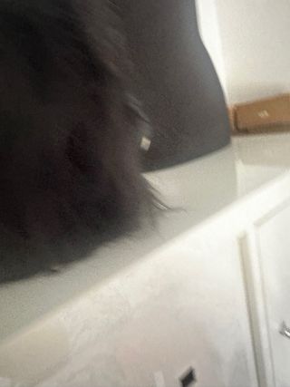 Disfraz Gorila Negro Talla Única