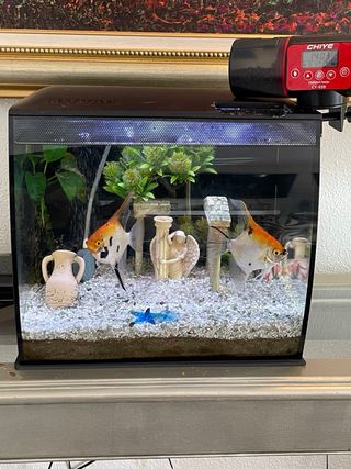 Pecera de cristal y plástico