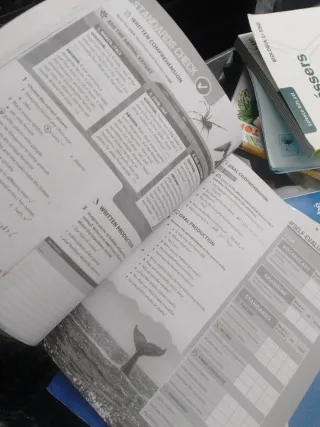 Teamwork 1ºeso Wb 20