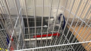 Jaula doble para pájaros nueva