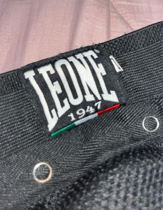 Conchiglia Leone MMA