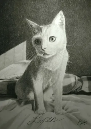 Retrato a lápiz personalizado