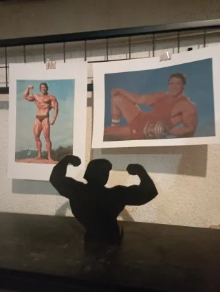 Decoración culturismo Arnold Schwarzenegger
