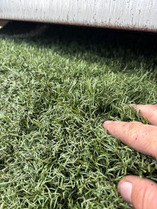 Césped artificial reciclado campos fútbol