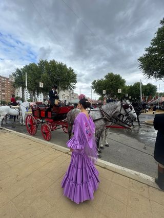 Traje de flamenca morado