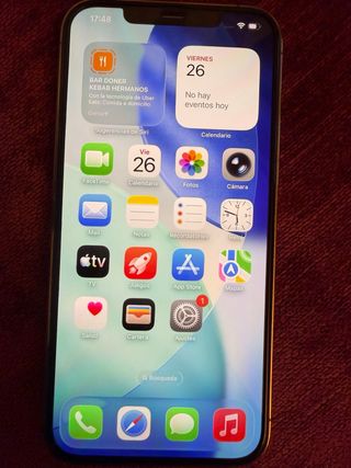 iPhone 12 Pro Max Oro