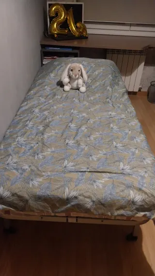 2 Camas individuales 90x180 con colchón y somier