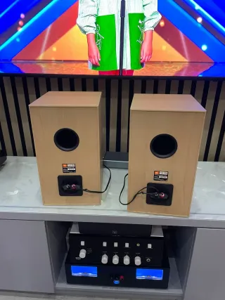 Altavoces JBL TLX 300 Hifi