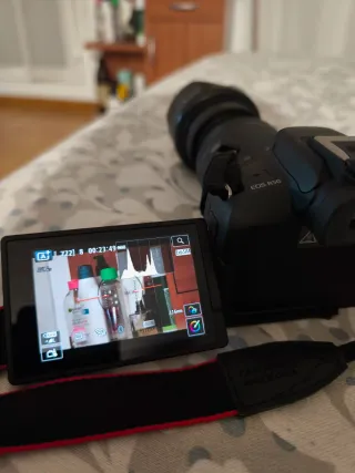 Cámara Canon EOS R50