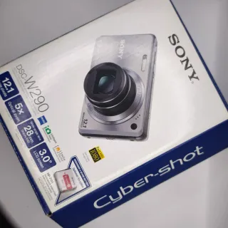 Cámara Digital Sony Cyber-shot DSC-W290