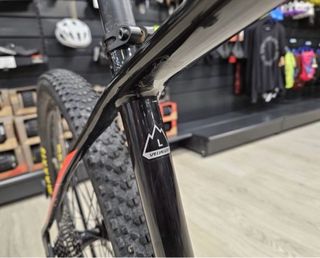 Specialized Stumpjumper Carbono 29”