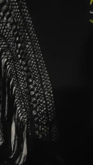 Manton de Manila Negro Bordado Flores