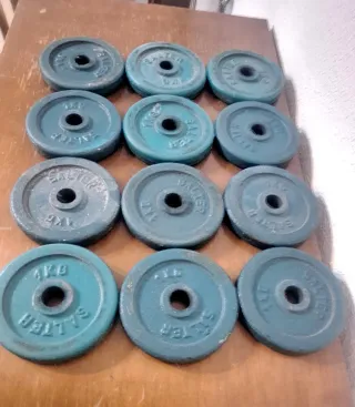 Mancuernas Salter 20 kg (Par)