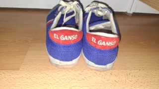 Zapatillas El Ganso Azul y Gris