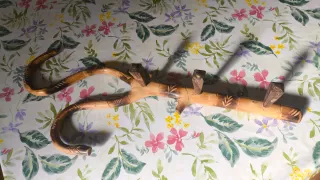 Perchero de madera rústico