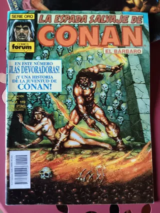 Comics Conan La Espada Salvaje de Conan