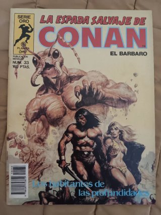 Comics Conan La Espada Salvaje de Conan