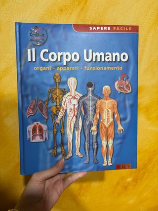 Compact Knowledge : The Body