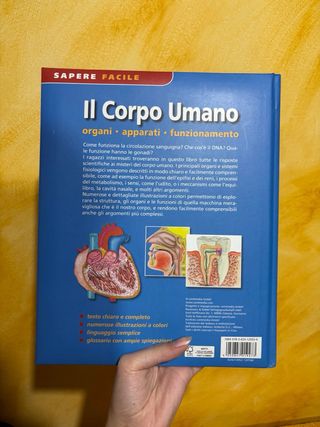 Compact Knowledge : The Body