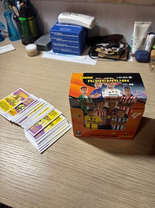 Cromos Panini Adrenalyn XL 25-26