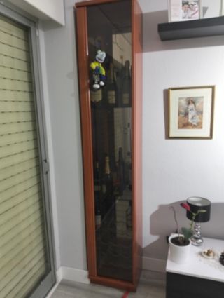Vitrina de madera y cristal
