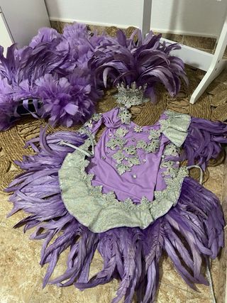 Disfraz Carnaval Morado y Plateado