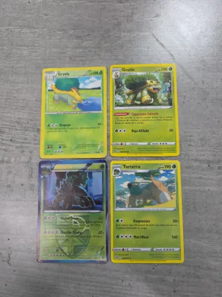 Cartas Pokémon Grotle Torterra caterpie metapod