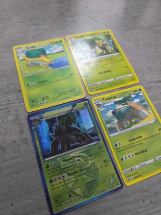 Cartas Pokémon Grotle Torterra caterpie metapod