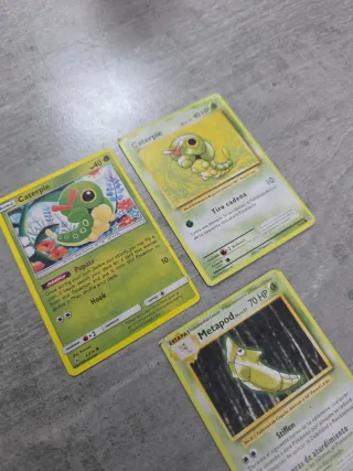 Cartas Pokémon Grotle Torterra caterpie metapod