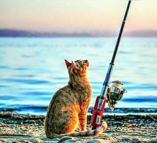 Lote señuelos pesca: vinilos y cucharillas