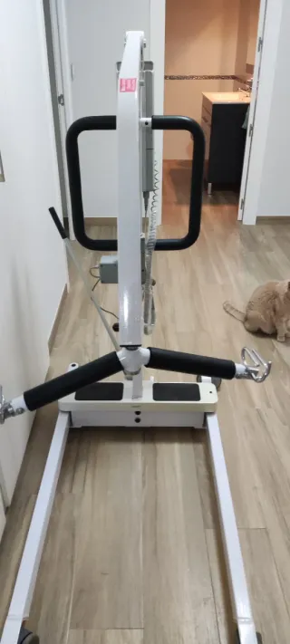 Grúa eléctrica para enfermos