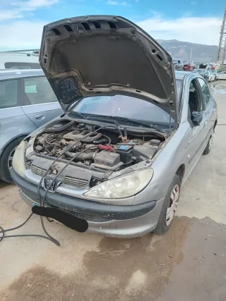 Despiece Peugeot 206 Año (2002)