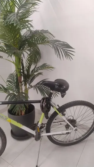 Bicicleta Montaña Ruedas 26