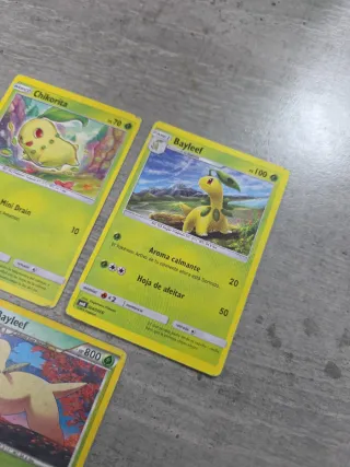 Cartas Pokémon Chikorita y Bayleef