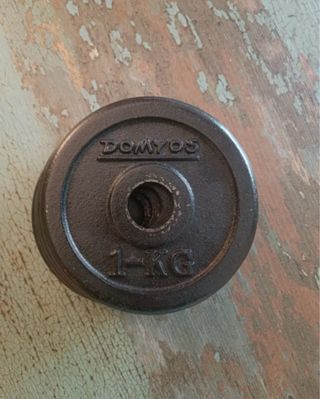 Discos de pesa Domyos 1kg 2 Unidades