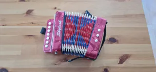 Acordeon infantil