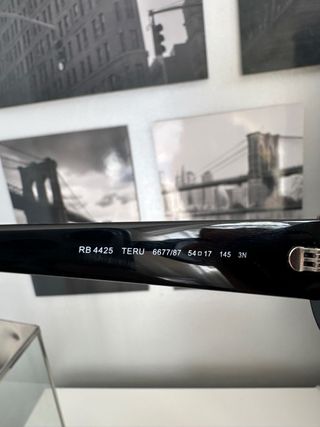 Gafas de sol Ray-Ban TERU Unisex negras