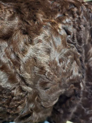 Abrigo de pelo natural marrón