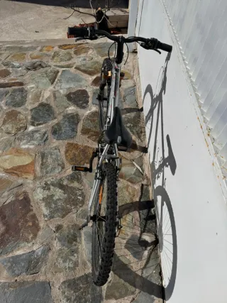 Bicicleta de montaña plateada