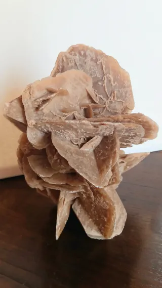 Rosa del Deserto Gigante XXL- 22x22xH31