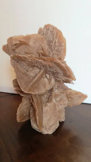 Rosa del Deserto Gigante XXL- 22x22xH31