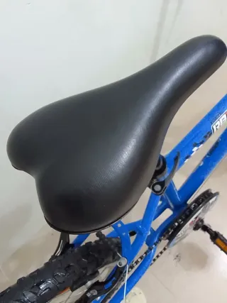 Bicicleta niño Btwin 20 pulgadas