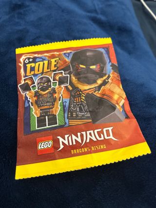 Lego Ninjago Cole Dragons Rising