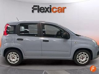 Fiat Panda Panda Hybrid 1.0 Gse 51kw (70CV)