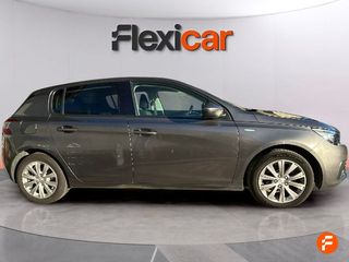 Peugeot 308 5P Active BlueHDi 100 S&S