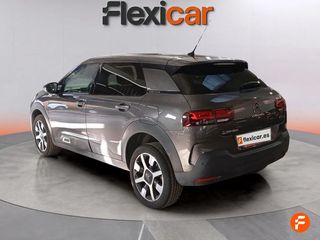 Citroën C4 Cactus PureTech 81KW (110CV) S&S EAT6 Feel